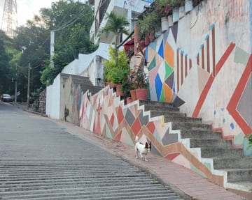 A colorful stairway mural on a steep Puerto Vallarta street
