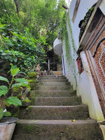 Mossy stairs climbing past carved doors and dense tropical greenery