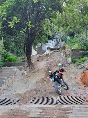 Dogs and motorbikes on a steep hillside road