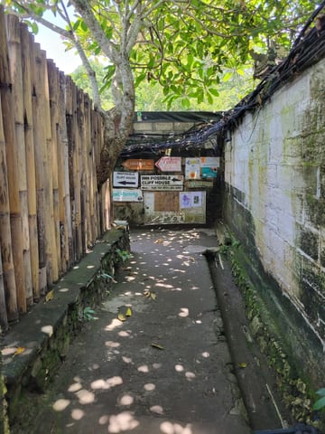 Narrow shaded path at the beginning of the descent to Bingin Beach