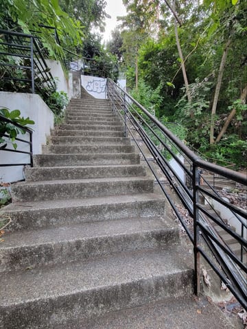 Concrete stairs climbing through greenery toward the Puerto Vallarta mirador