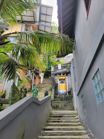 Steep stone stairs rising between buildings and palm trees